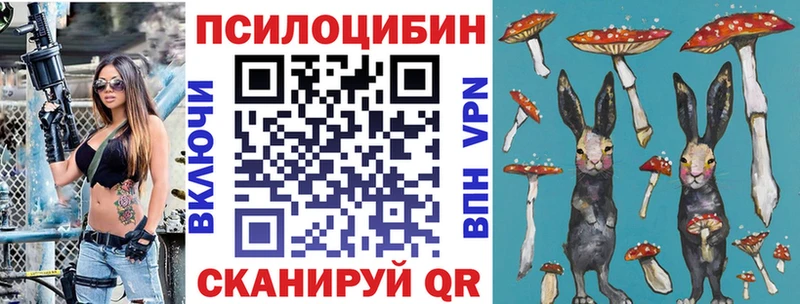 Псилоцибиновые грибы Cubensis Карпинск