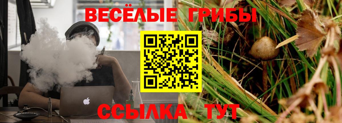 Карпинск  Псилоцибиновые грибы Psilocybine cubensis  закладка  Вход с VPN  Галлюциногенные грибы Cubensis 